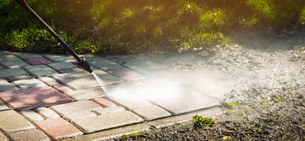 Best Roof Washing  in Halsey, OR